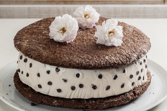 Gâteau aux biscuits à la crème glacée
